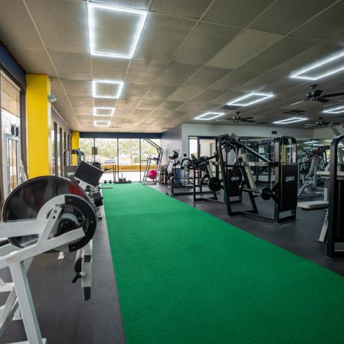 WhatsApp Image 2025-11-10 at 10.51.55 (2)